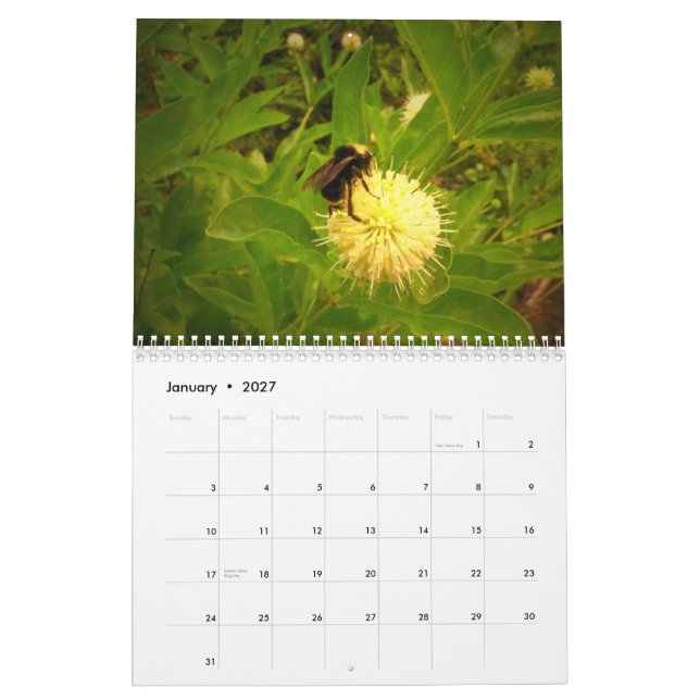Calendrier Mural 2014 mon jardin (Jan 2027)