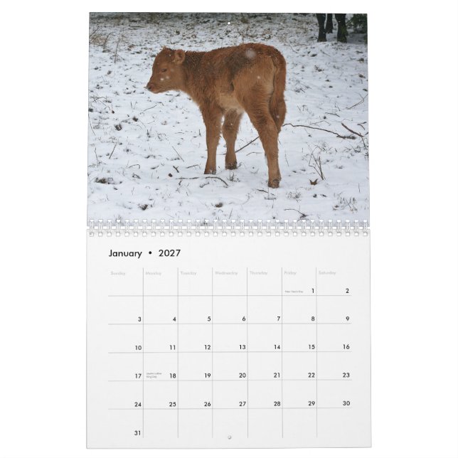 Calendrier Mural 2015 veaux (Jan 2027)