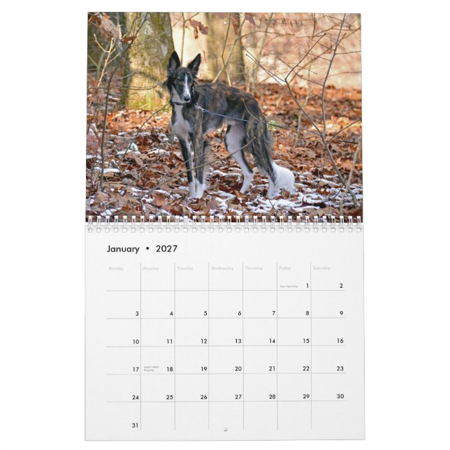 Calendrier Mural 2015 Windhounds de soie (Jan 2027)