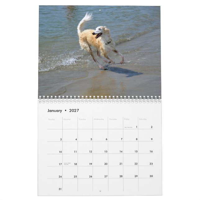Calendrier Mural 2015 Windhounds de soie dans l'action (Jan 2027)