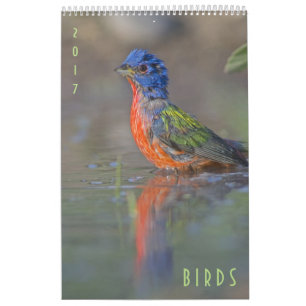 Calendrier mural 2017 de faune d'oiseaux
