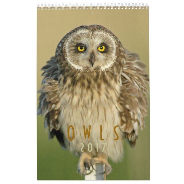 Calendrier mural 2017 pour des amants de hibou (Protection)