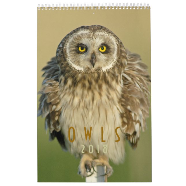 Calendrier mural 2018 d'amants de hibou (Protection)