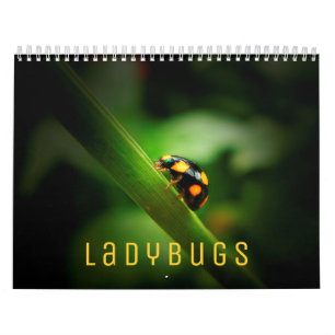 Calendrier mural 2022 de Ladybugs