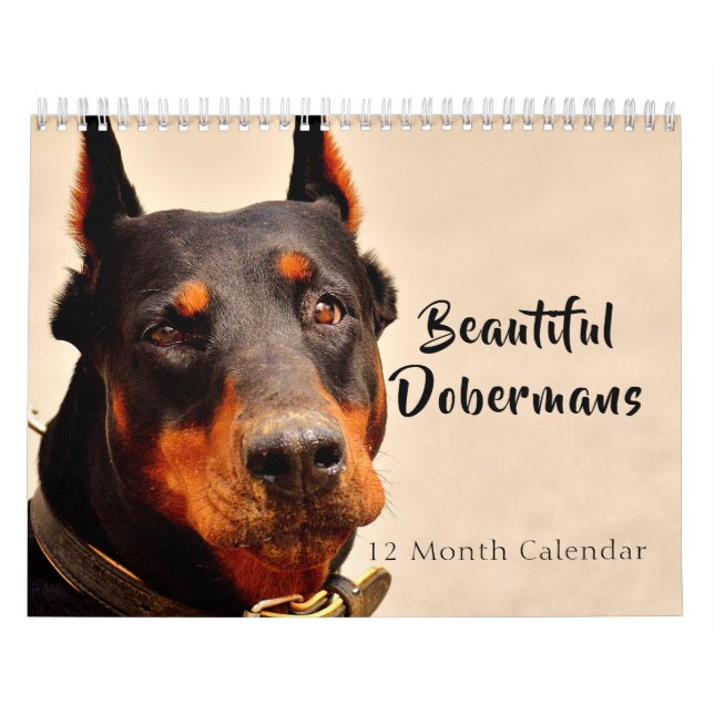 Calendrier Mural 2026 Beaux Dobermans (Protection)
