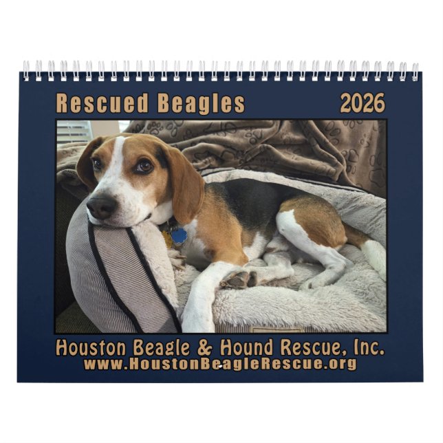 Calendrier Mural 2026 Chiots Beagles SauvÃs (Protection)