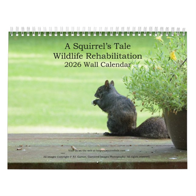 Calendrier mural 2026 : L'Histoire d'un Écureuil (Protection)