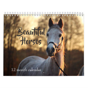 Calendrier Mural 2027 Beaux Chevaux