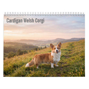 Calendrier mural 2027 Cardigan Welsh Corgi
