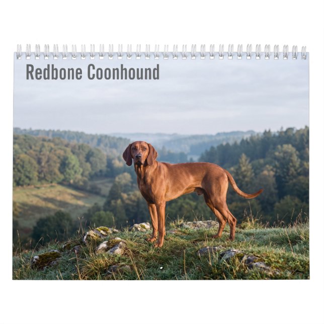 Calendrier mural 2027 des Redbone Coonhounds (Protection)