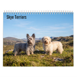 Calendrier mural 2027 des Skye Terriers