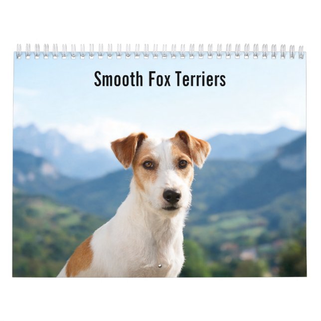 Calendrier Mural 2027 des Terrier Fox Lisses (Protection)