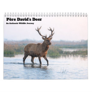 Calendrier mural 2027 du cerf du Père David