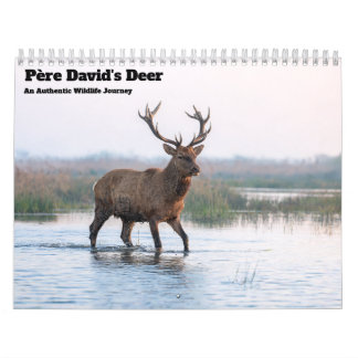 Calendrier mural 2027 du cerf du Père David