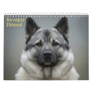 Calendrier mural 2027 du Norsk Elghund