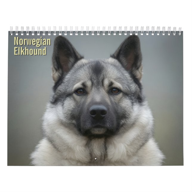Calendrier mural 2027 du Norsk Elghund (Protection)