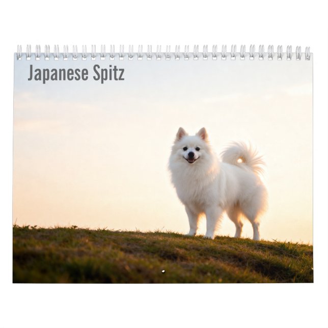 Calendrier mural 2027 du Spitz japonais (Protection)