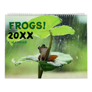 Calendrier mural 2027 Grenouilles dans la nature M