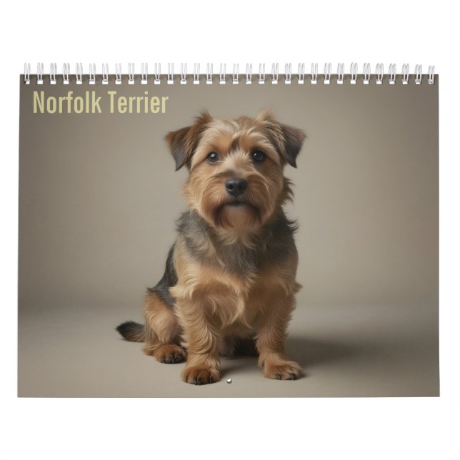 Calendrier mural 2027 Norfolk Terrier (Protection)
