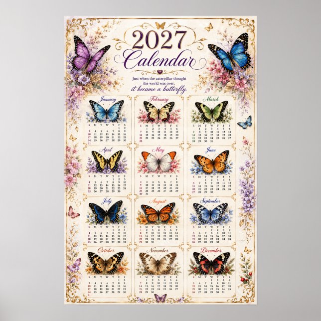 Calendrier mural 2027 papillon affiche (Devant)