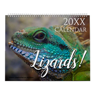 Calendrier mural 2027 Photo de lézard Nature