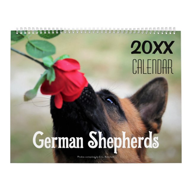Calendrier mural 2027 pour chien berger allemand A (Protection)