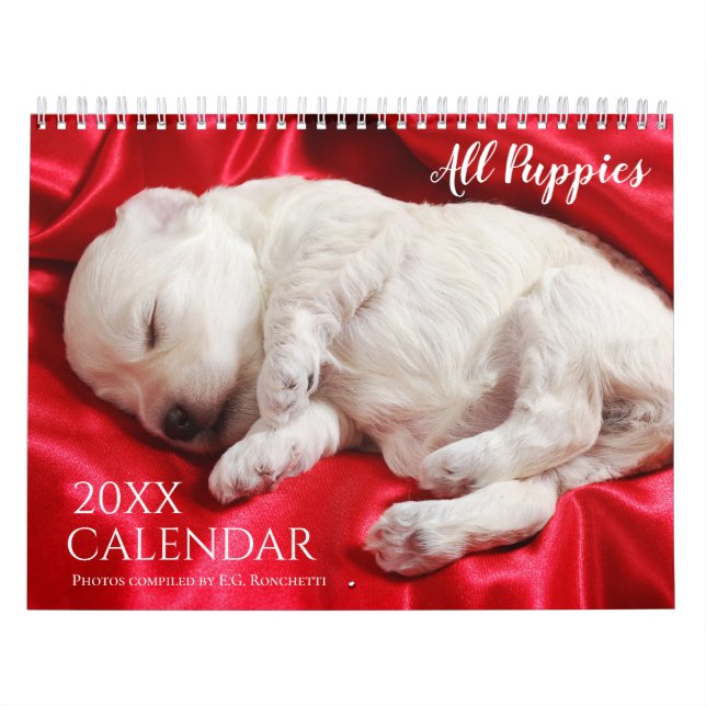 Calendrier mural 2027 pour chiots - Tous les chiot (Protection)