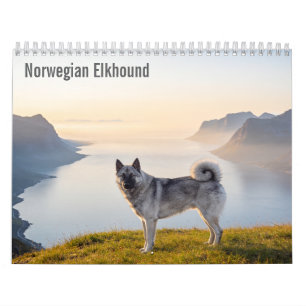 Calendrier mural 2027 pour Norwegian Elkhound