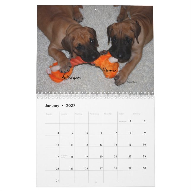 Calendrier Mural Affaire de Danois - 2012 chiots (Jan 2027)