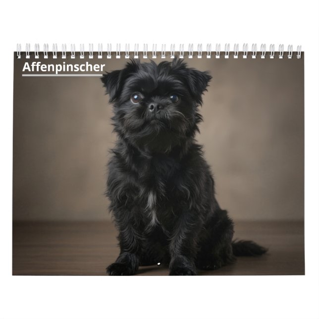 Calendrier mural Affenpinscher. (Protection)