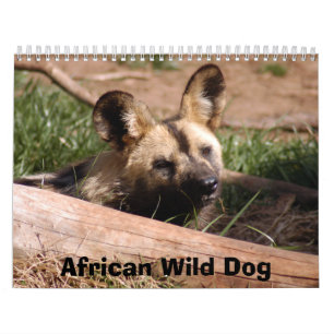 Calendrier Mural african-wild-dog-012, chien sauvage africain