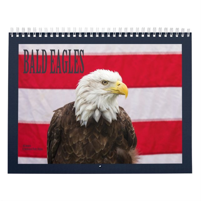 Calendrier Mural Aigles chauds (Protection)
