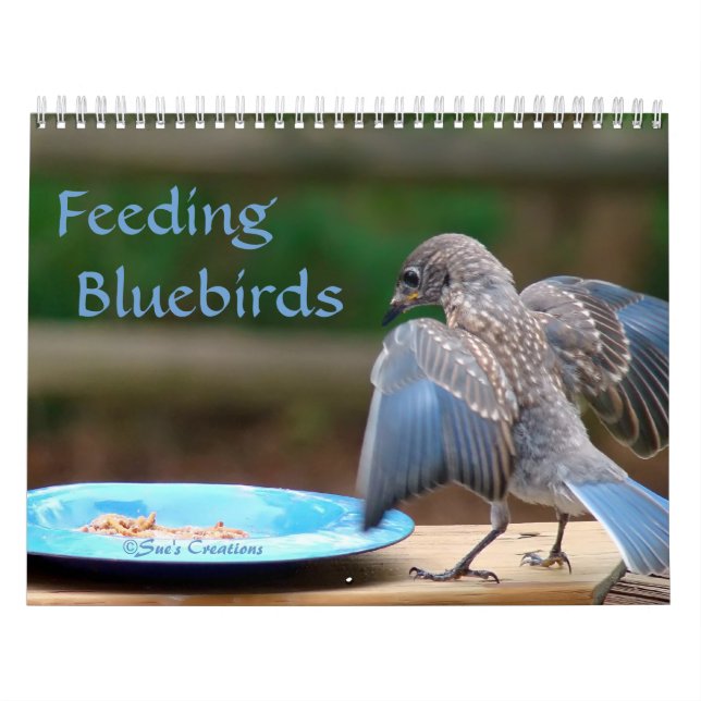 Calendrier Mural Alimentation des oiseaux bleus (Protection)