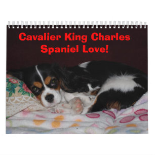 Calendrier Mural Amour cavalier d'épagneul du Roi Charles ! -