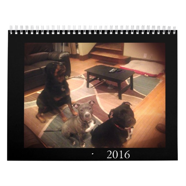 Calendrier Mural Amour de pitbull et de rottweiler (Protection)