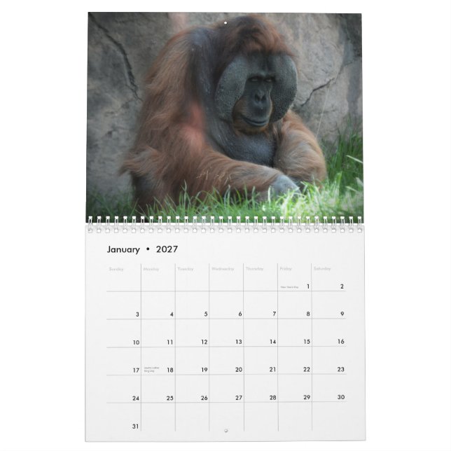 Calendrier Mural Amusement d'animal de zoo (Jan 2027)