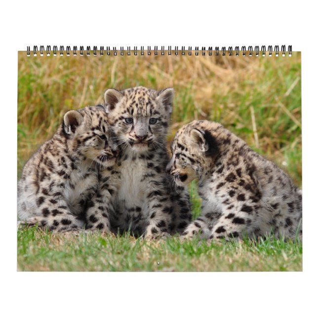 Calendrier Mural Animal (Protection)