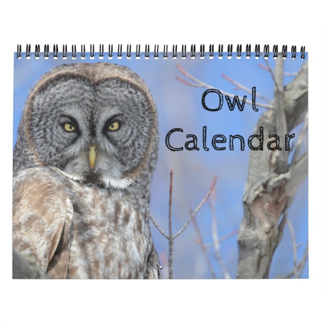 Calendrier Mural Animal Owl Bird Life Office Accueil Destinée Desti (Protection)
