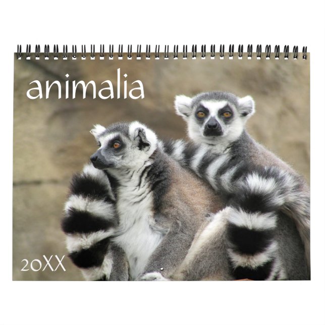 Calendrier Mural animalia 2025 (Protection)