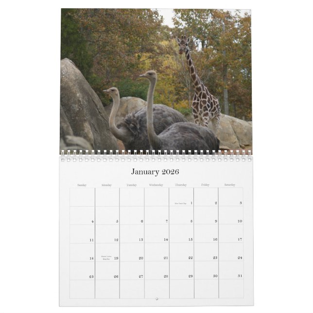 Calendrier Mural Animaux de zoo (Jan 2026)