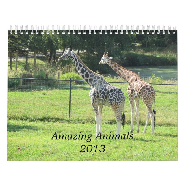 Calendrier Mural Animaux Extraordinaires 2013 (Protection)