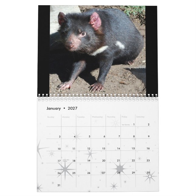 Calendrier Mural Animaux indigènes australiens (Jan 2027)