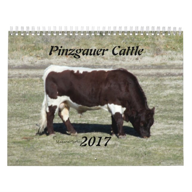 Calendrier Mural Année 2017 de Calendrier-changement de Pinzgauer (Protection)