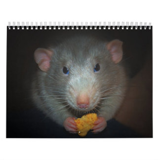 Calendrier Mural Année du rat Calander