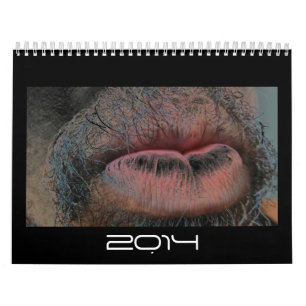 Calendrier Mural Année pendant l'année