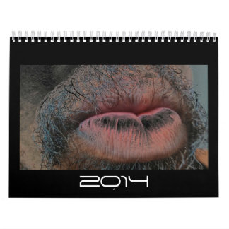 Calendrier Mural Année pendant l'année