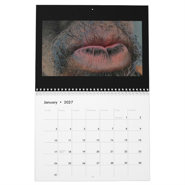 Calendrier Mural Année pendant l'année (Jan 2027)