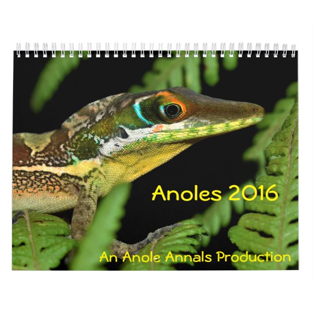 Calendrier Mural Anoles 2016 - Une production d'annales d'Anole (Protection)