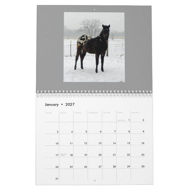 Calendrier Mural Appaloosas 2011 de famille (Jan 2027)