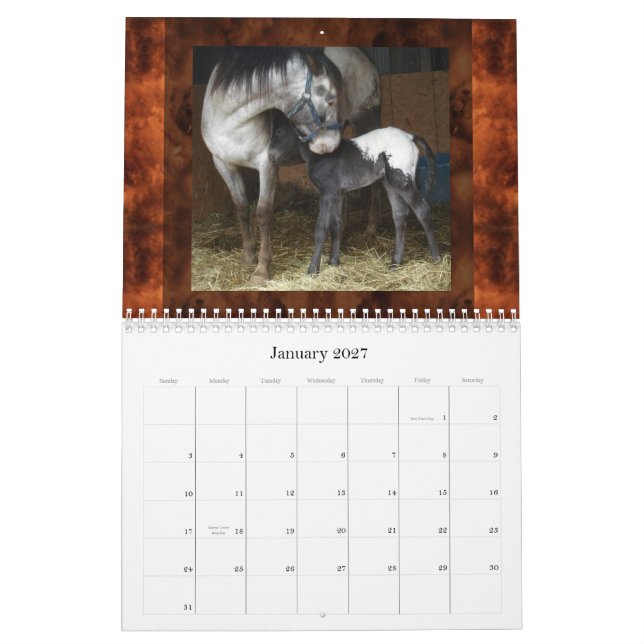 CALENDRIER MURAL APPALOOSAS DE COLLINE DE COUCHER DU SOLEIL (Jan 2027)